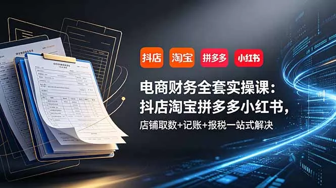 电商财务全套实操课：抖店淘宝拼多多小红书，店铺取数+记账+报税一站式解决 - 网创在线