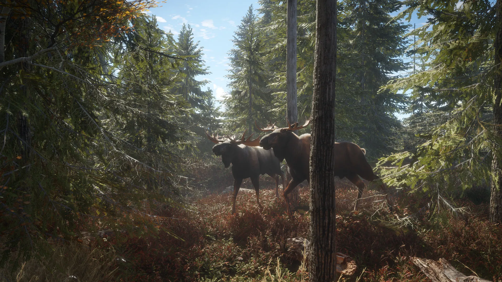 猎人:荒野的召唤/theHunter: Call of the Wild 版本更新 - 网创在线