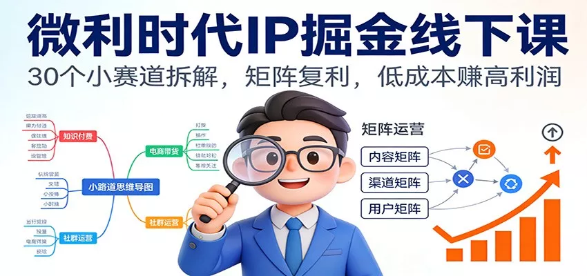 微利时代IP掘金线下课：30个小赛道拆解，矩阵复利，低成本赚高利润 - 网创在线