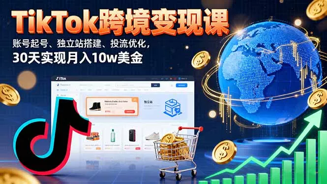 TikTok跨境变现课：账号起号、独立站搭建、投流优化，30天实现月入10w美金 - 网创在线
