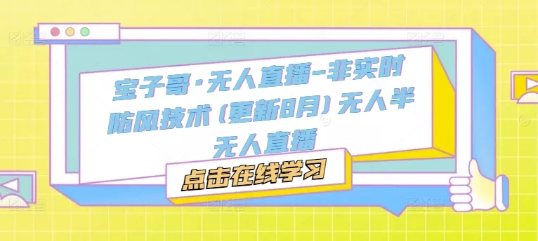 宝子哥·无人直播-非实时防风技术(更新25年9月)无人半无人直播 - 网创在线