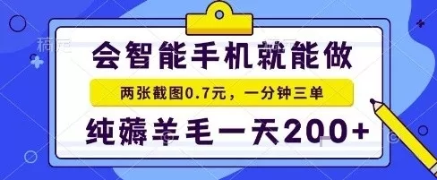手机项目，二十秒一单，纯薅羊毛一天2张+做就有【揭秘】 - 网创在线