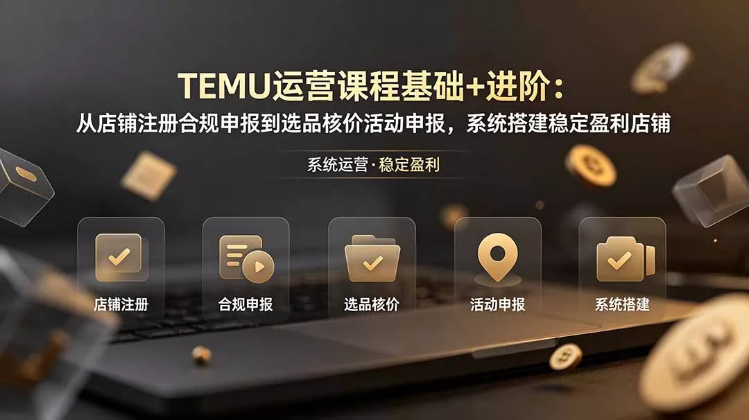 TEMU运营课程(基础+进阶 - 网创在线