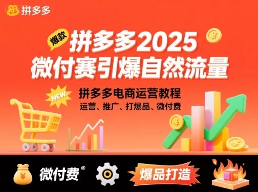 拼多多微付费引爆自然流量，拼多多电商运营教程，运营、推广、打爆品、微付费(更新26年2月) - 网创在线