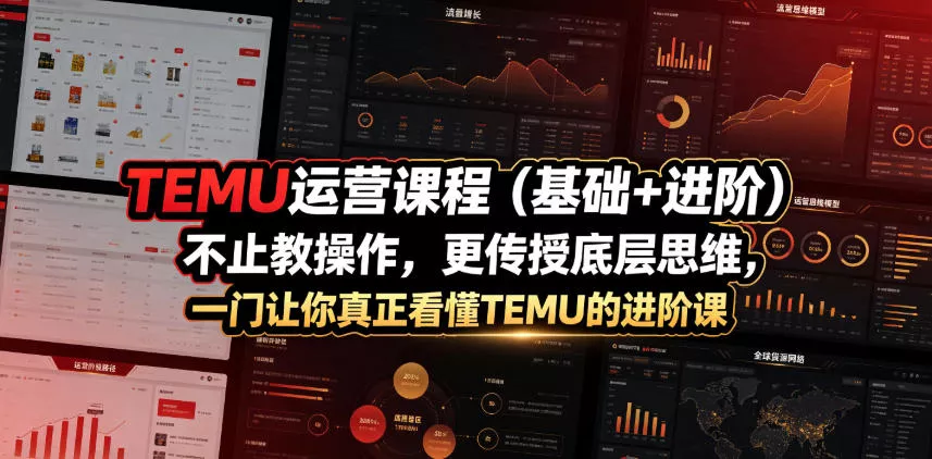 TEMU运营课程(基础+进阶)，不止教操作，更传授底层思维，一门让你真正看懂TEMU的进阶课 - 网创在线