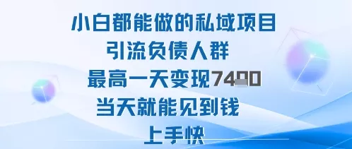 2025年小白都能做的私域项目引流负债人群最高一天变现1k+高变现难度低当天就能见到钱上手快 - 网创在线