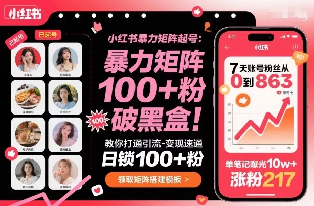 小红书暴力矩阵起号，教你打通引流-变现速通，日锁100+粉，破流量黑盒 - 网创在线