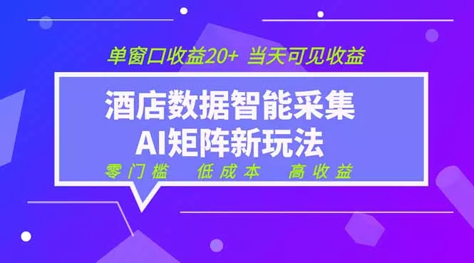 2026酒店数据采集ai智能矩阵新风口 低成本 高收益 当天见收益 单窗口20+ - 网创在线