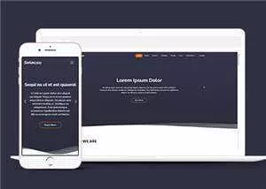 简约业务团队动态响应式网页模板 - 网创在线