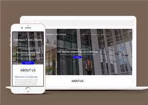 简约公司项目解决方案HTML网页模板下载 - 网创在线