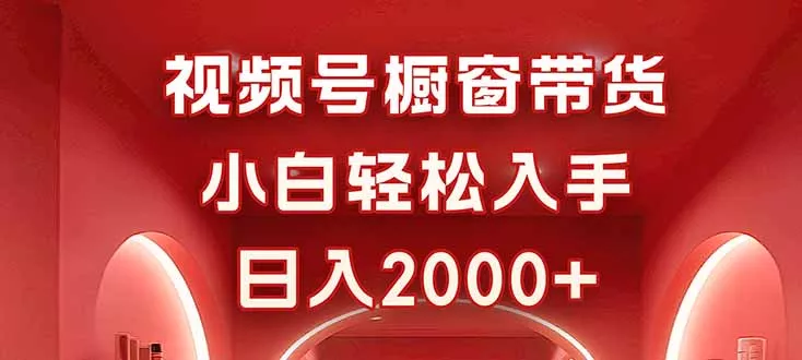 视频号橱窗带货，小白轻松入手，日入2000+ - 网创在线