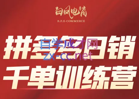 白凤电商·拼多多日销千单训练营(更新2026) - 网创在线