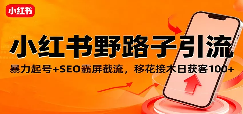 小红书野路子引流，暴力起号+SEO霸屏截流，移花接木日获客100+ - 网创在线