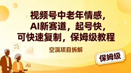 视频号中老年情感,AI新赛道，起号快，可快速复制，保姆级教程 - 网创在线