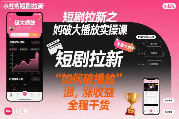 短剧拉新之小红书如何破大播放实操课，如何破播放，涨收益，全程干货 - 网创在线