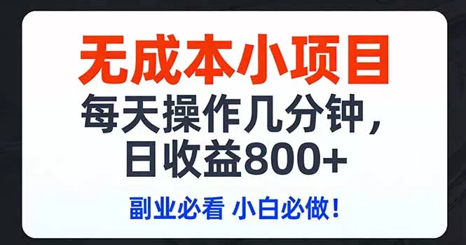 无成本小项目,每天操作几分钟,日收益800+ 副业必看 小白必做！ - 网创在线