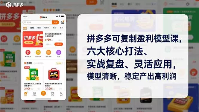 拼多多可复制盈利模型课，六大核心打法、实战复盘、灵活应用，模型清晰，稳定产出高利润 - 网创在线
