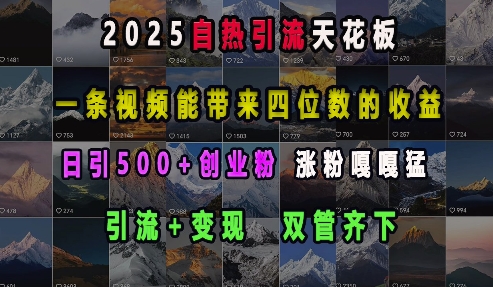 2025自热引流天花板，一条视频能带来四位数的收益，引流+变现双管齐下，日引500+创业粉，涨粉嘎嘎猛-网创在线