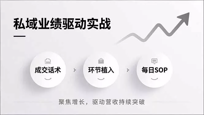 私域业绩驱动实战，成交话术、环节植入、每日SOP，聚焦增长，驱动营收持续突破 - 网创在线