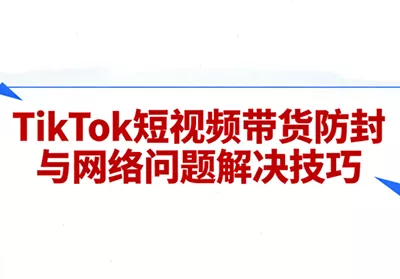 老谭·TikTok短视频带货实拍课程 - 网创在线