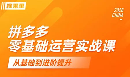 仙道电商·拼多多零基础运营实战课 - 网创在线