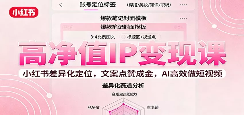 高净值IP变现课：小红书差异化定位，文案点赞成金， AI高效做短视频 - 网创在线