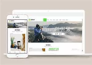 宽屏广告品牌设计类网站模板源码 - 网创在线