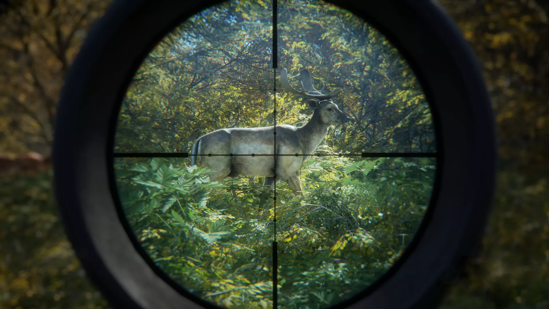 《猎人：荒野的召唤/theHunter: Call of the Wild》PC中文版下载-含v3101875 - 网创在线
