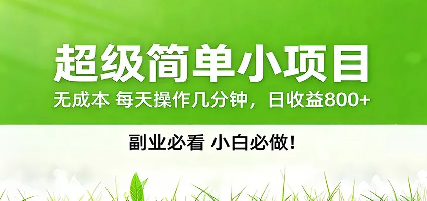 番茄小说邪修玩法，日赚500+稿费，全网独家番茄邪修玩法 - 网创在线