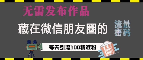 藏在微信朋友圈的流量密码，无需发布作品，单日引流100+精准创业粉【揭秘】-网创在线