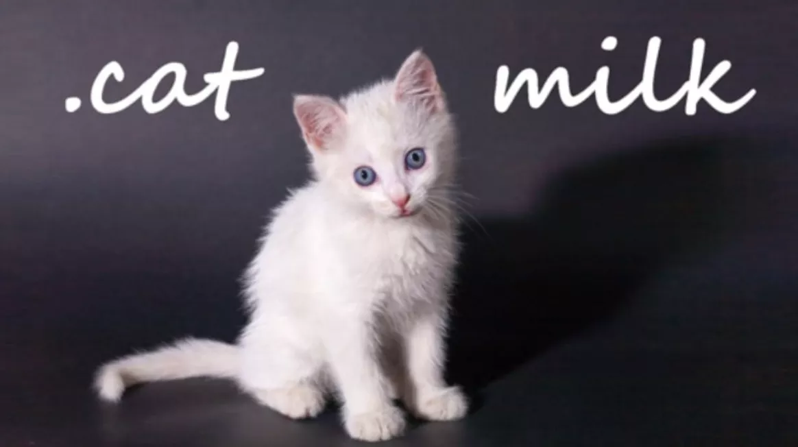 《小奶猫 .cat Milk》Switch英文版NSP下载 - 网创在线