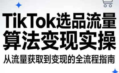TikTok选品流量算法变现实操 - 网创在线