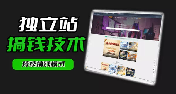 干货来袭！麦子甜带你吃透独立站｜从搭建到引流一站式教学《独立站》第一期 - 网创在线