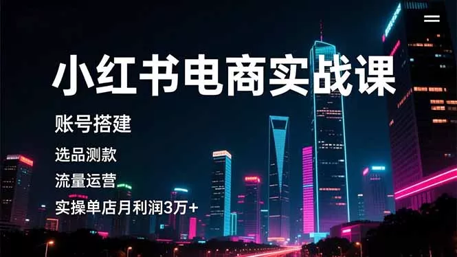 小红书电商实战课，账号搭建，选品测款，流量运营，实操月利润3万+ - 网创在线