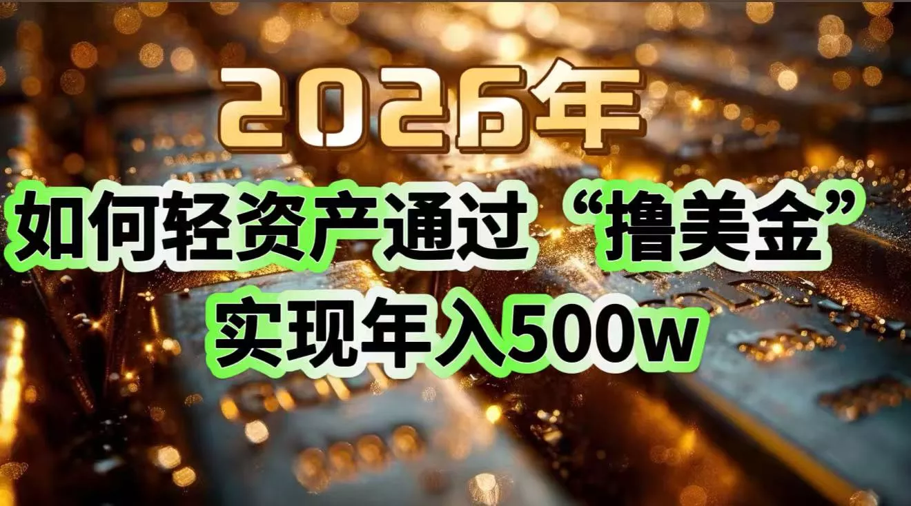 2026年如何轻资产通过“撸美金”实现年入500w - 网创在线