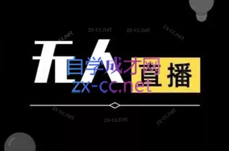 宝子哥·无人直播-非实时防风技术(更新2026) - 网创在线