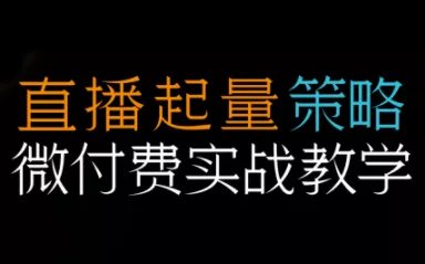 半野老师·直播带货起量与微付费必学课视频号 - 网创在线