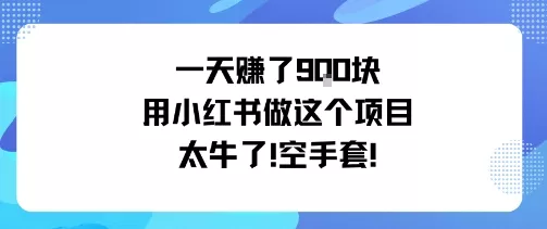 一天挣了9张用小红书做这个项目太牛了，空手套 - 网创在线