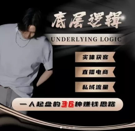 一个人起盘的底层逻辑，私域流量-直播电商-实体获客，一人起盘的36种賺钱思路 - 网创在线