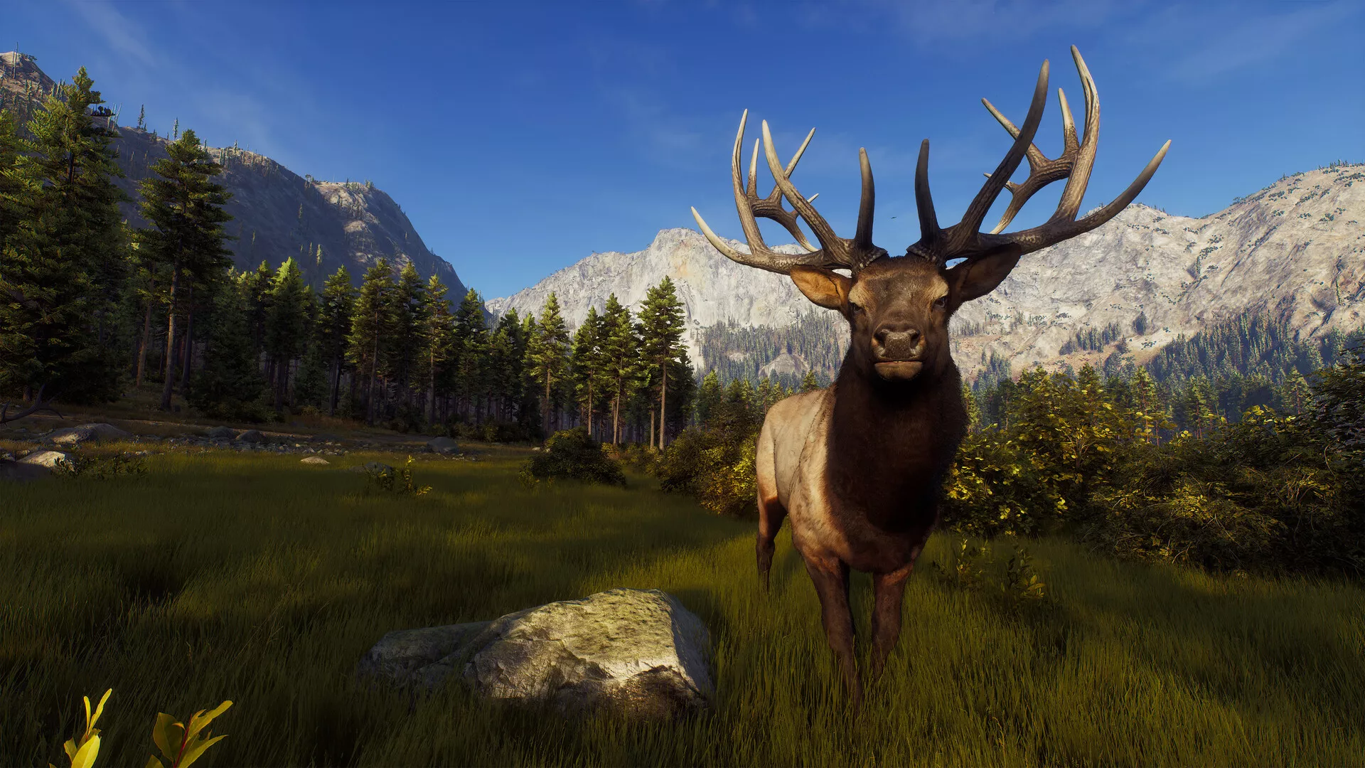 PC游戏《猎人之路/Way of the Hunter》中文v1.30下载 PC游戏《猎人之路/Way of the Hunter》中文v1.30下载