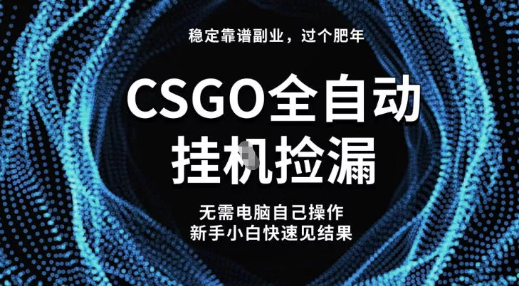 【稳定副业】全球最热门游戏CSGO全自动捡漏，最新玩法，新手小白日入5张+【揭秘】 - 网创在线