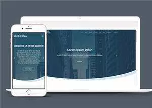 企业业务案例展示响应式网页模板下载 - 网创在线