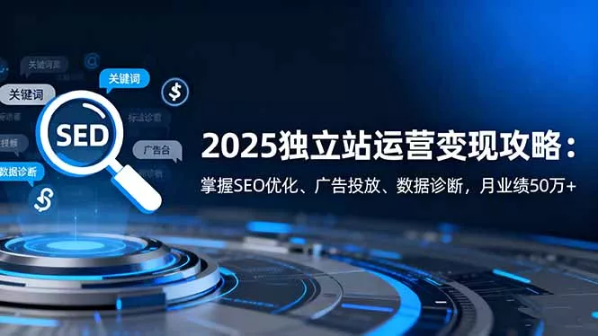 2025独立站运营变现攻略：掌握SEO优化、广告投放、数据诊断，月业绩50万+ - 网创在线