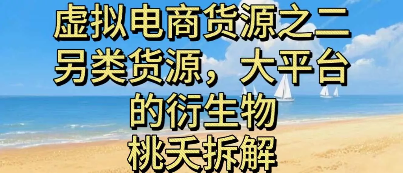 虚拟电商之二—另类的货源，大平台的衍生物 - 网创在线