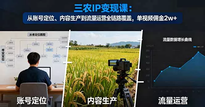 三农IP变现课：从账号定位、内容生产到流量运营全链路覆盖，单视频佣金2w+ - 网创在线