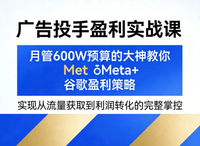 广告投手盈利实战课，月管600W预算的大神教你Meta+谷歌盈利策略，实现从流量获取到利润转化的完整掌控 - 网创在线