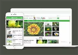 响应式花卉养殖资讯类前端模板 - 网创在线