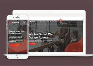 web软件应用开发公司网站模板 - 网创在线