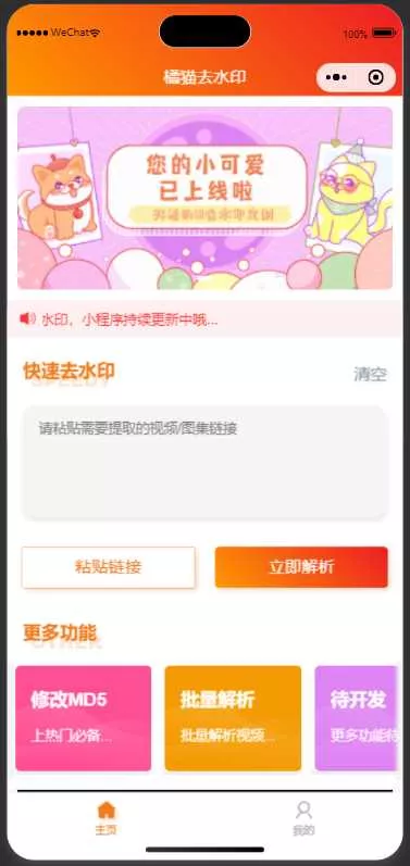 橘猫去水印小程序源码免费分享 - 网创在线