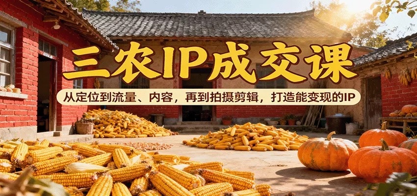 三农IP成交课：从定位到流量、内容，再到拍摄剪辑，打造能变现的IP - 网创在线